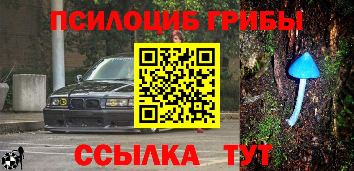 Галлюциногенные грибы Psilocybine cubensis Люберцы